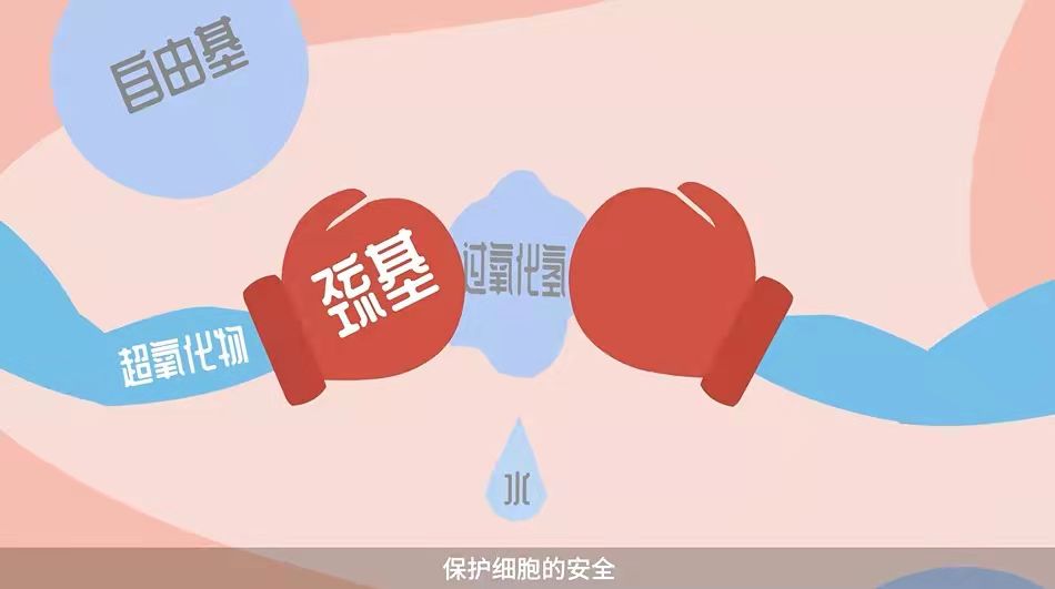 公海彩船·6600(中国)官方网站