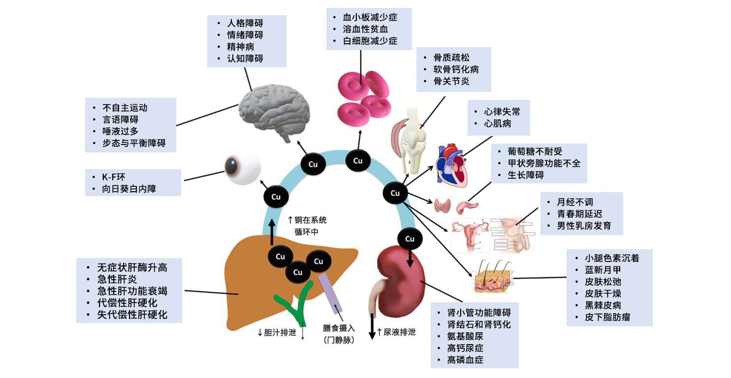 公海彩船·6600(中国)官方网站